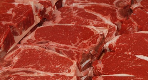 Exportações de carne bovina brasileira faturam US$ 5,9 bilhões em 2015