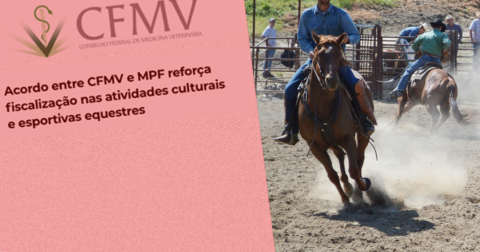 Acordo entre CFMV e MPF exclui zootecnistas como RTs em vaquejadas