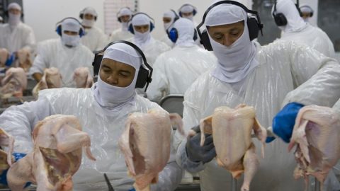 Relatório aponta crescimento de vendas externas de carne de frango