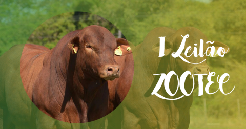 I Leilão Zootec está aceitando inscrições de animais e produtos para venda