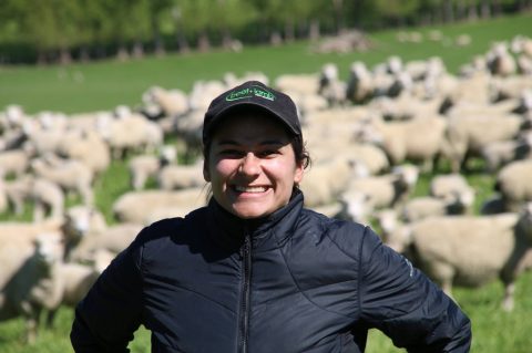 Na Nova Zelândia, zootecnista brasileira é referência em ovinocultura