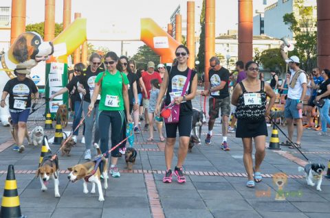 Porto Alegre terá corrida beneficente para arrecadar ração para cães