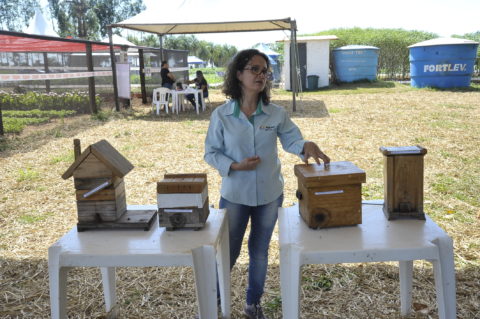 Zootecnista evidencia importância da criação de abelhas sem ferrão