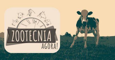 ‘ZootecniAgora’: Coletivo lança site para disseminar informações sobre a profissão