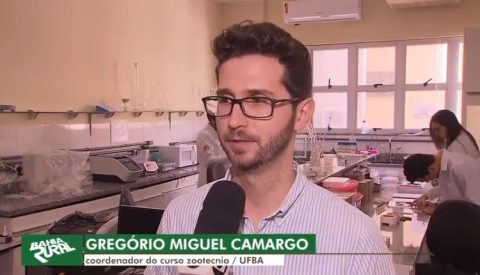 Pesquisas em Zootecnia na UFBA são destaque em programa dominical da Globo na Bahia
