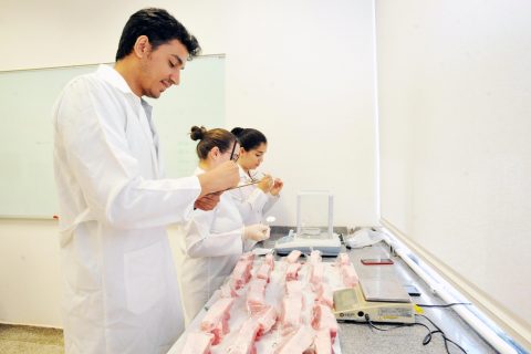 Estudo de zootecnista desenvolve técnica para identificação rápida de fraude em carnes