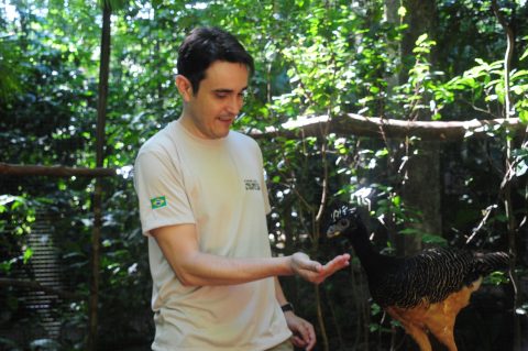 Zootecnista chefe de nutrição do Parque das Aves fala sobre manejo de silvestres