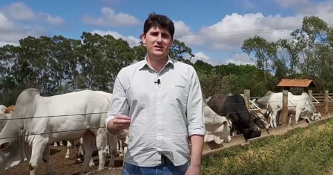 Zootecnista fala sobre importância da qualidade da água para lucratividade na pecuária