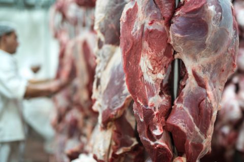 TRF4 decide que indústria de carnes não é obrigada a contratar veterinários