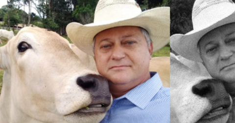 ABZ lamenta falecimento do professor e Zootecnista Renato Dib