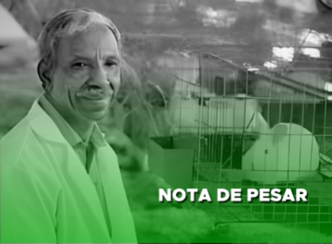 Morre Professor José Francisco da Silva