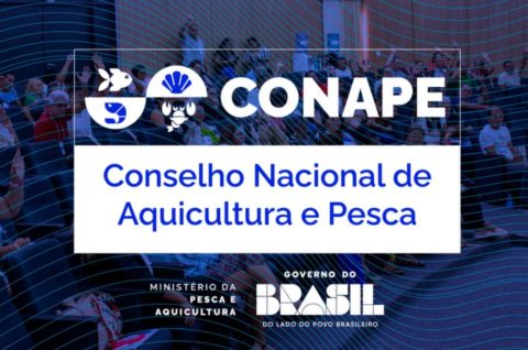 Abertas as inscrições para o Chamamento Público de Representantes da Sociedade Civil no Conape
