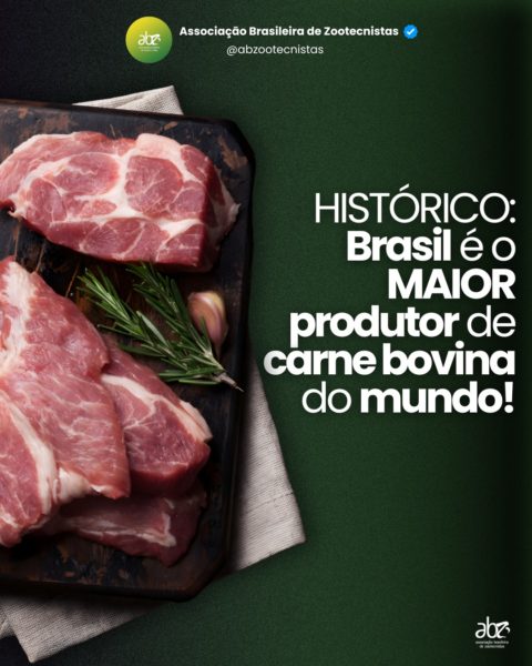 HISTÓRICO: Brasil é o MAIOR produtor de carne bovina do mundo!
