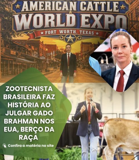 Zootecnista Brasileira faz história ao julgar Gado Brahman nos EUA, berço da raça
